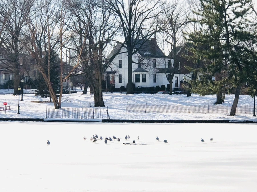 IMG_0096.jpg?type=w966