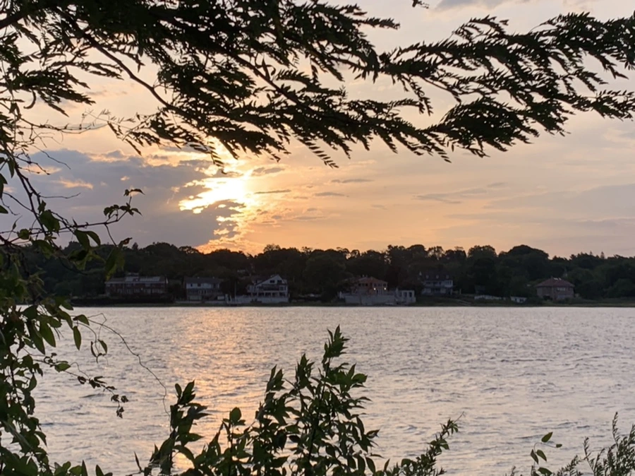 IMG_1782.jpg?type=w966