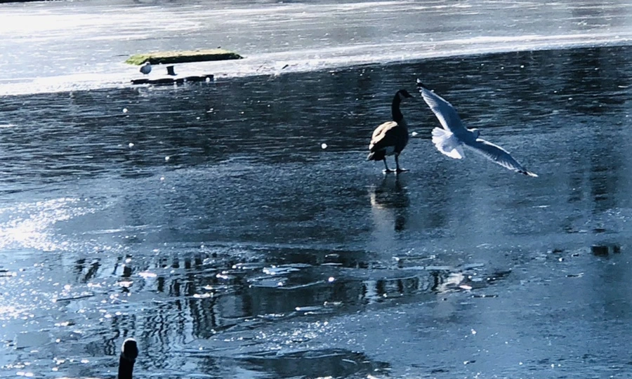 IMG_7977.jpg?type=w966