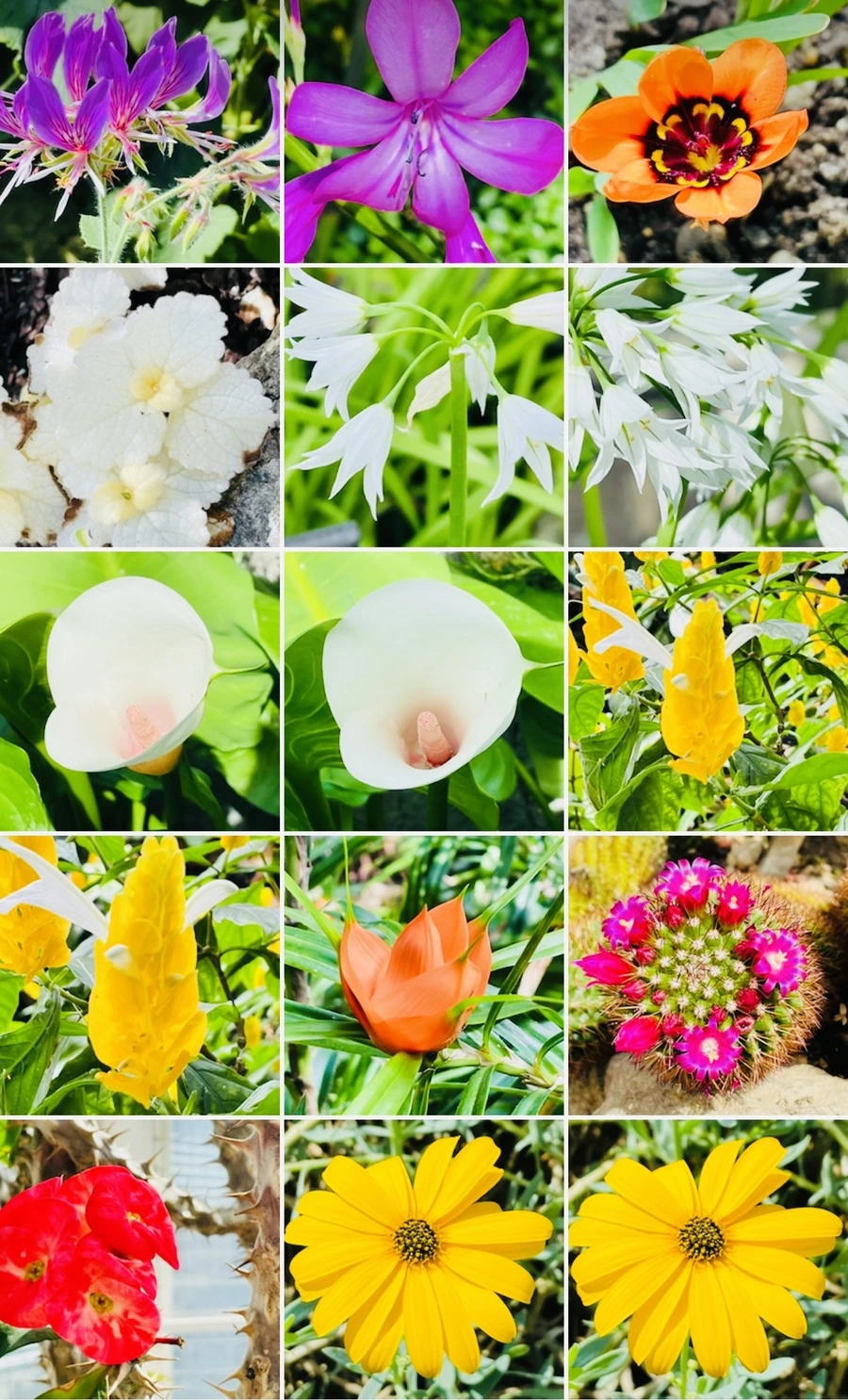 IMG_4256.jpg?type=w966