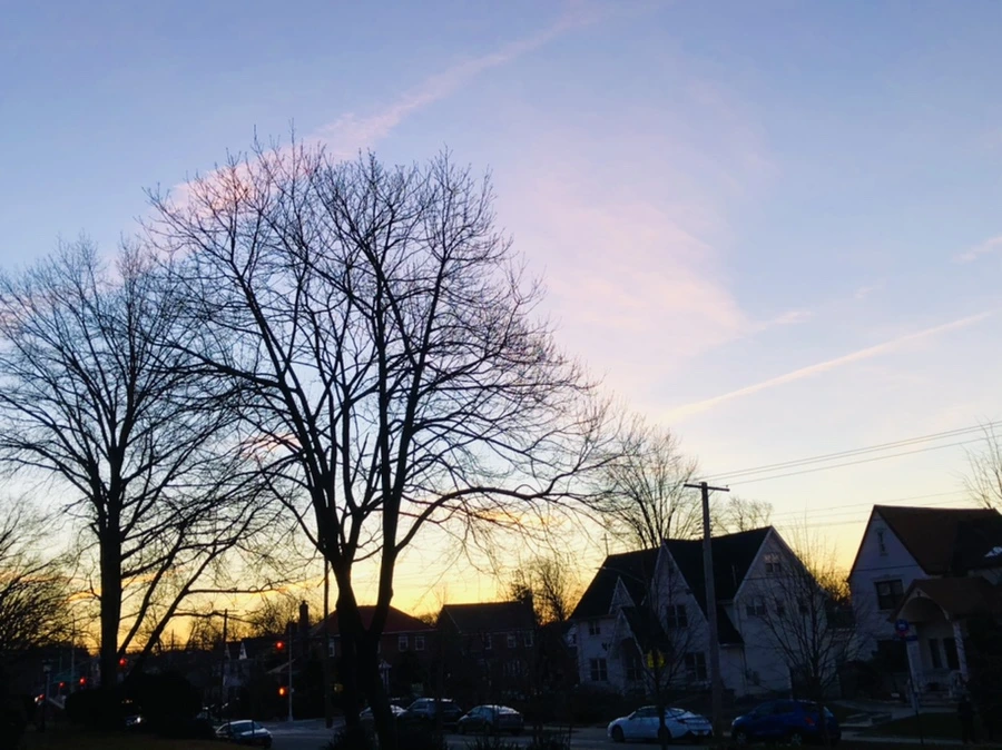 IMG_5611.jpg?type=w966