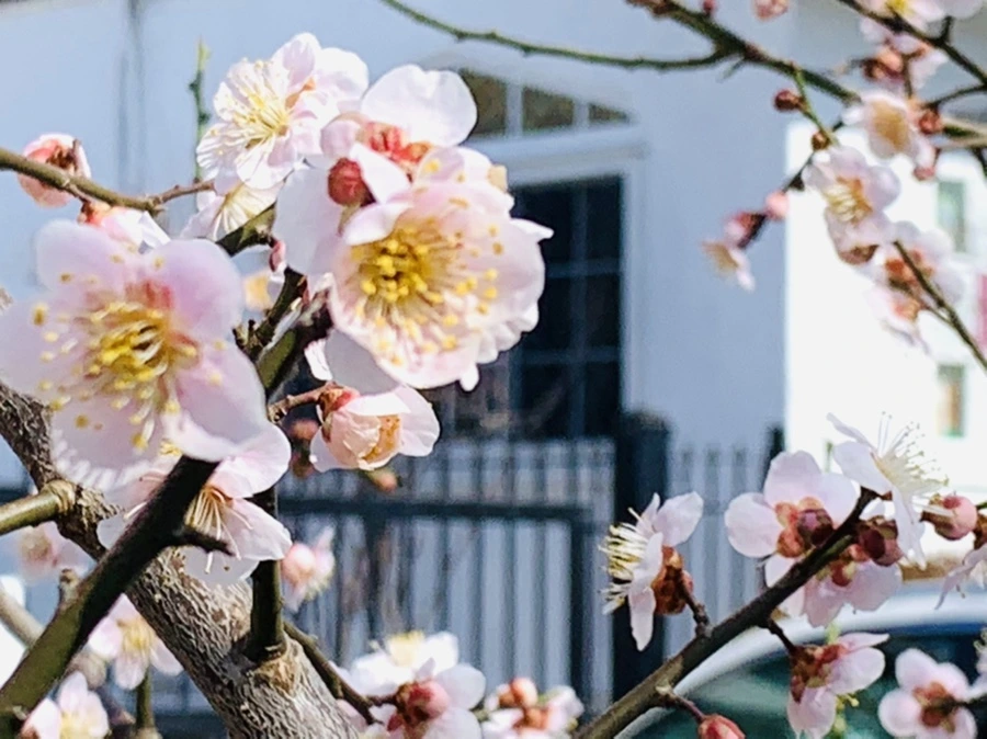 IMG_1009.jpg?type=w966