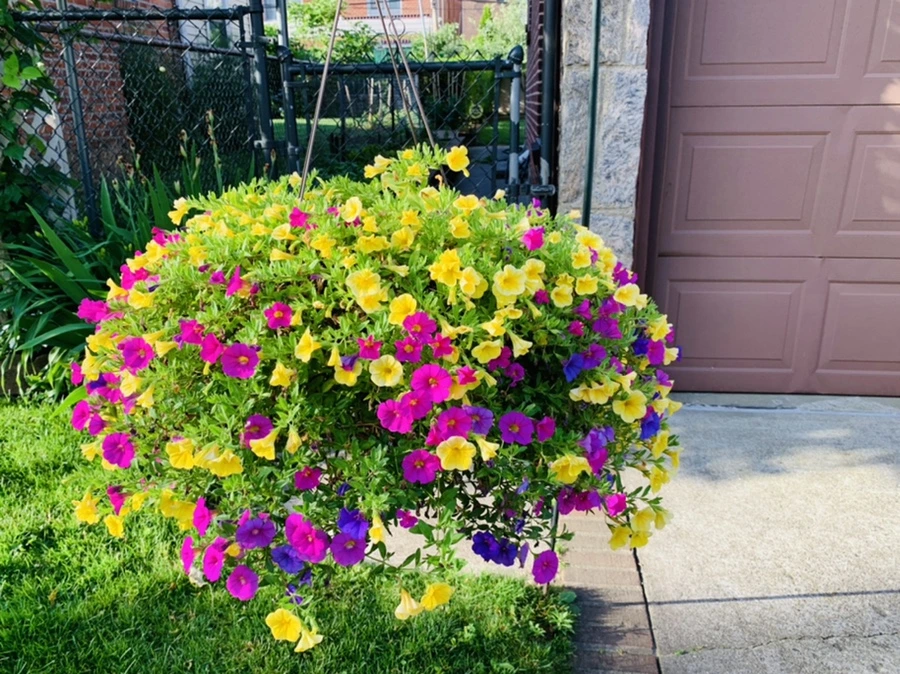 IMG_5261.jpg?type=w966