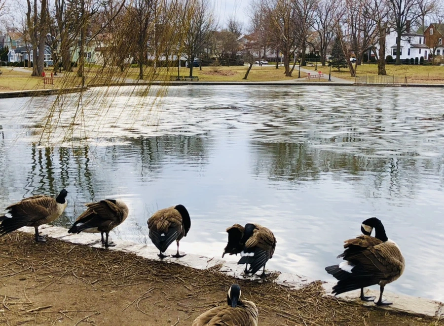 IMG_5071.jpg?type=w966