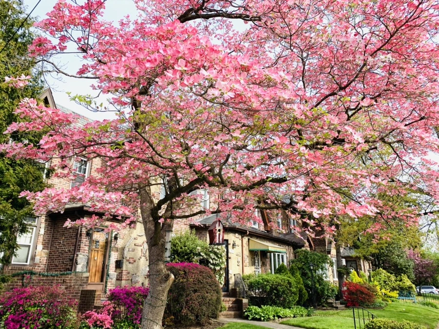 IMG_6802.jpg?type=w966