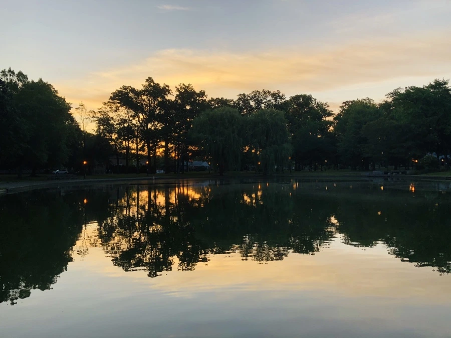 IMG_0028.jpg?type=w966