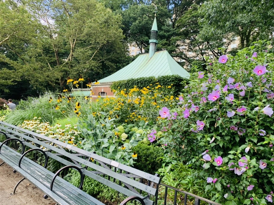 IMG_8003.jpg?type=w966