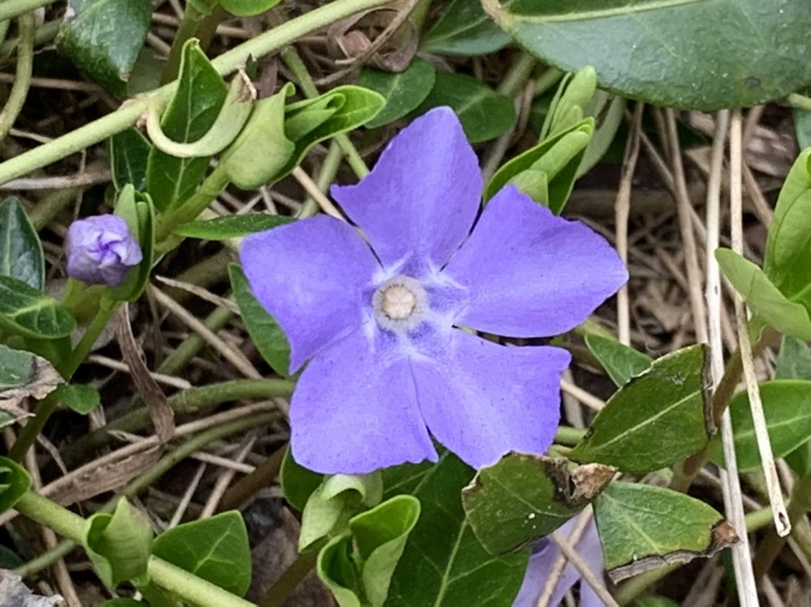 IMG_3697.jpg?type=w966