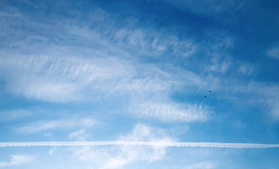 IMG_2981.jpg?type=w966