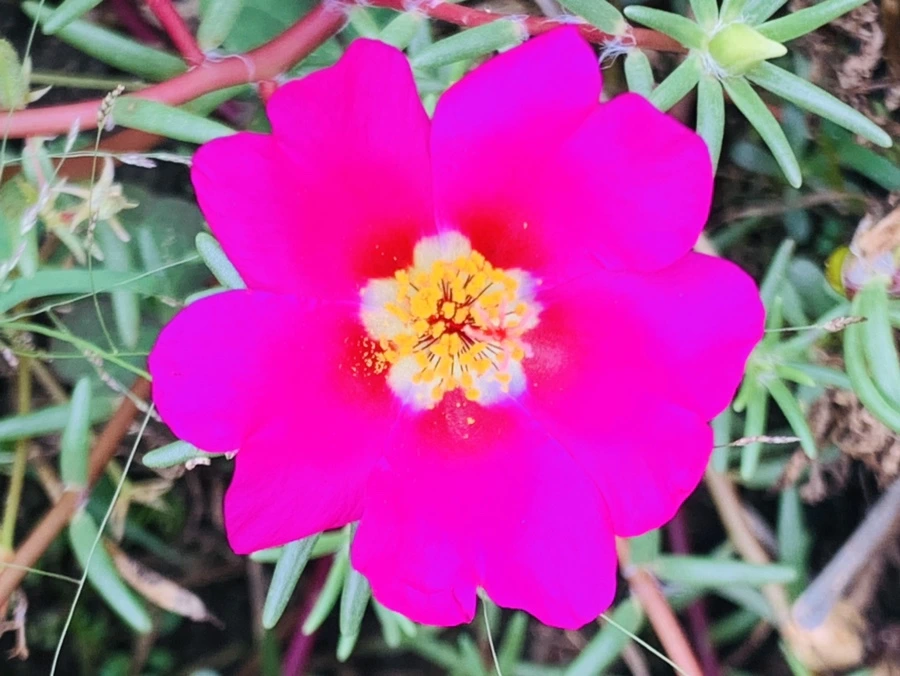 IMG_5912.jpg?type=w966