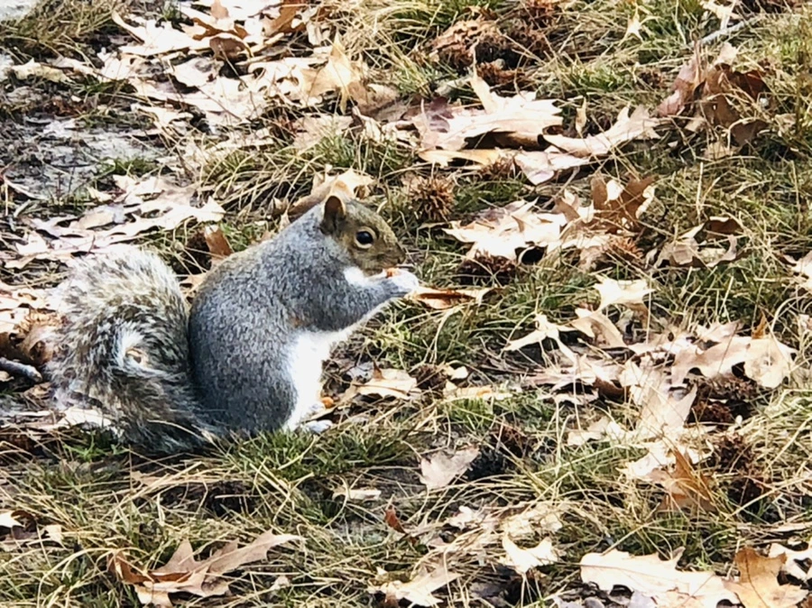 IMG_9923.jpg?type=w966