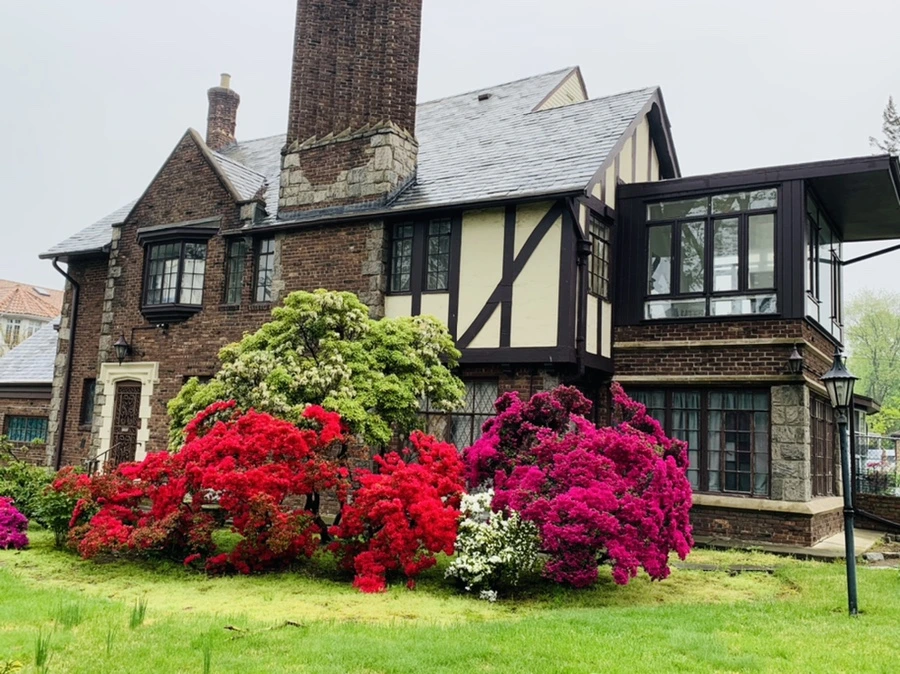 IMG_9323.jpg?type=w966