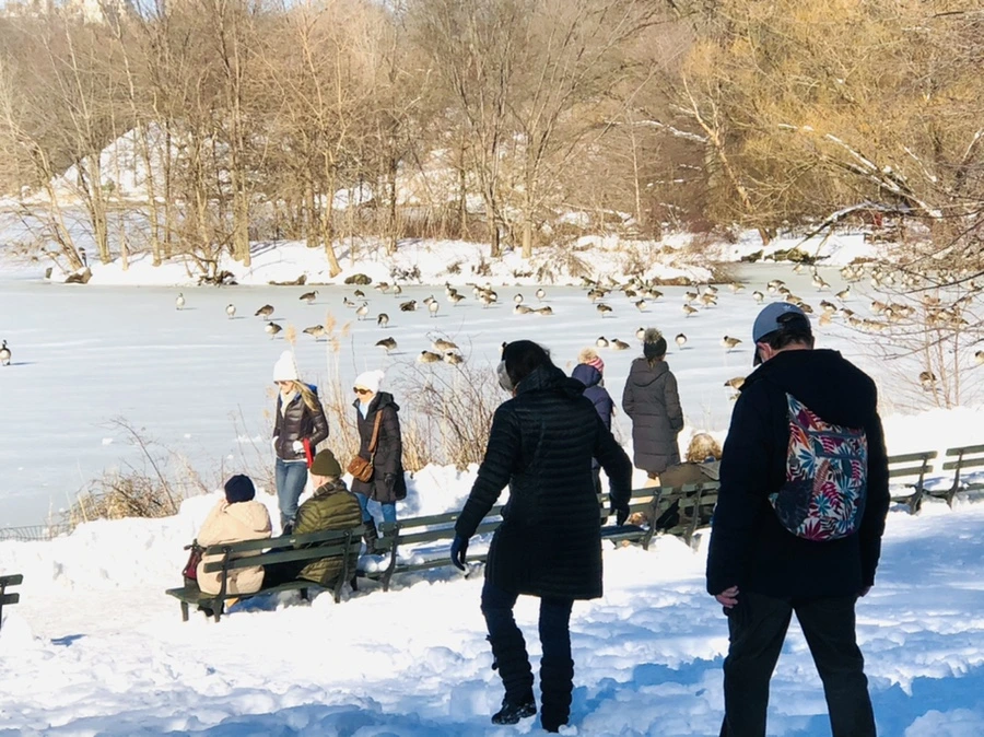 IMG_9817.jpg?type=w966