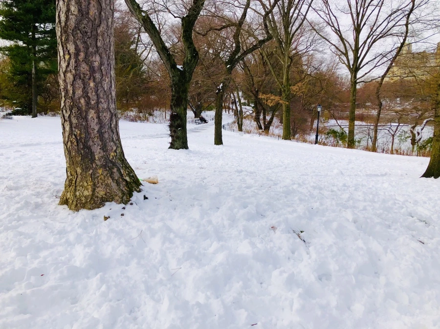 IMG_7334.jpg?type=w966