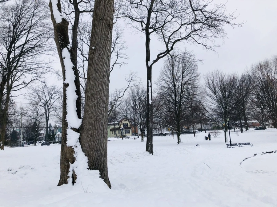 IMG_1502.jpg?type=w966