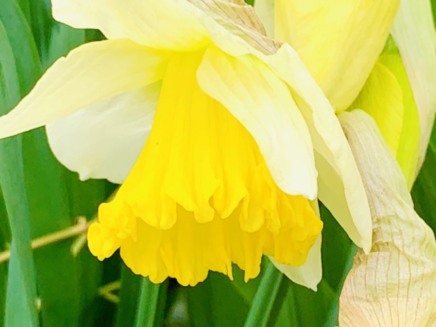 IMG_3696.jpg?type=w966