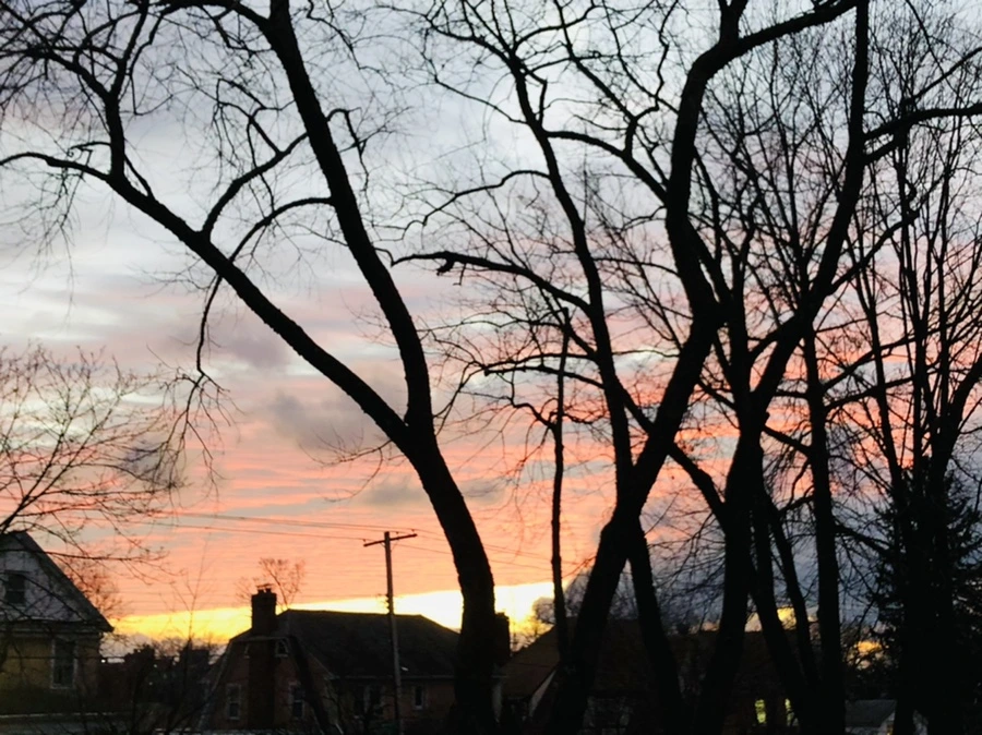 IMG_8265.jpg?type=w966