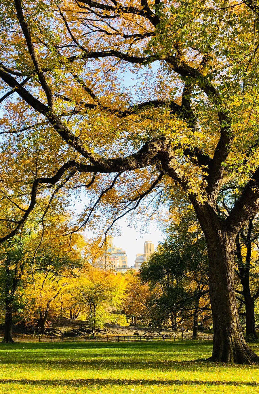 IMG_7513.jpg?type=w966