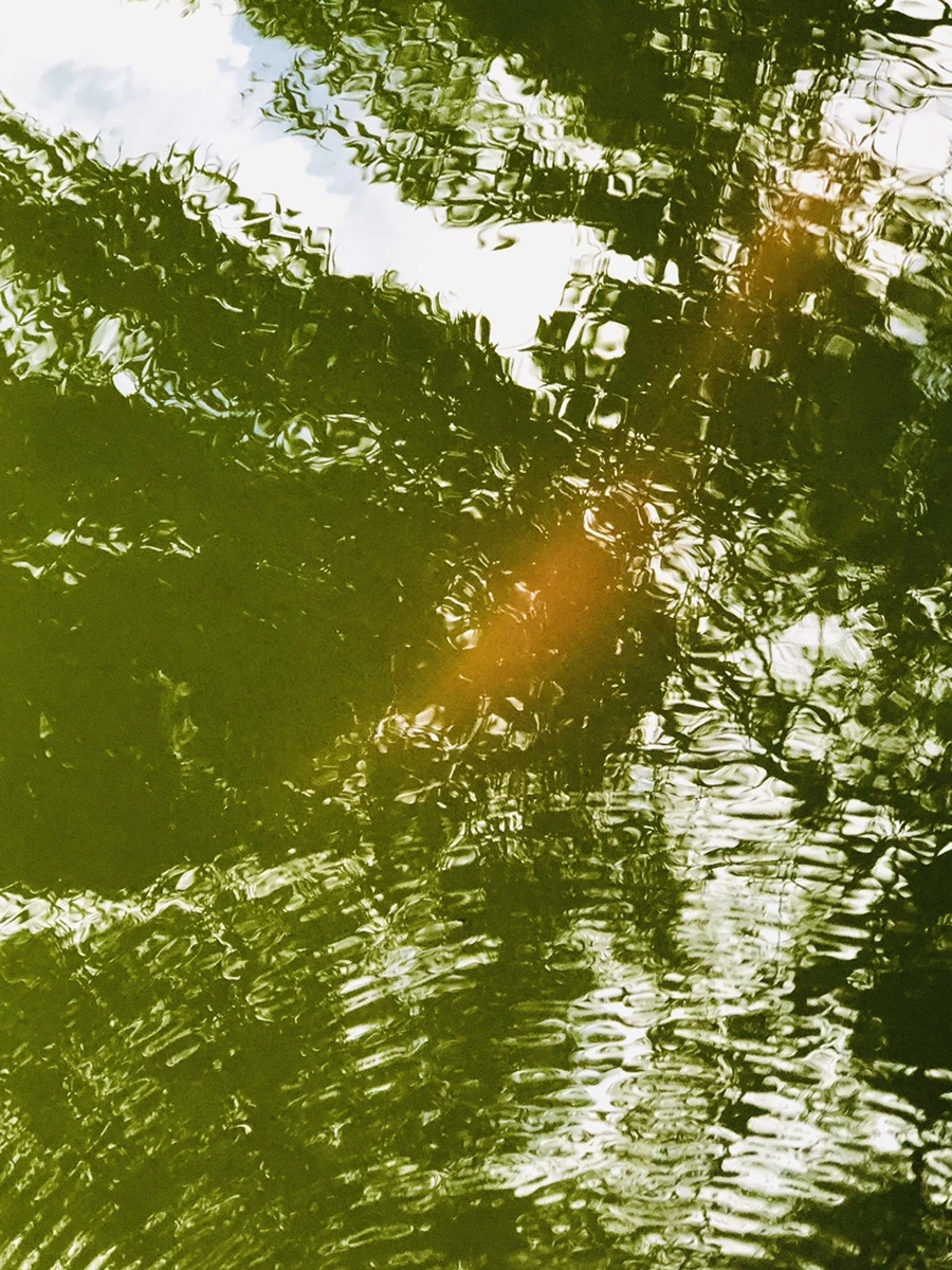 IMG_4009.jpg?type=w966