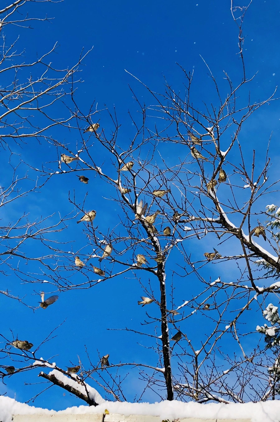 IMG_6972.jpg?type=w966