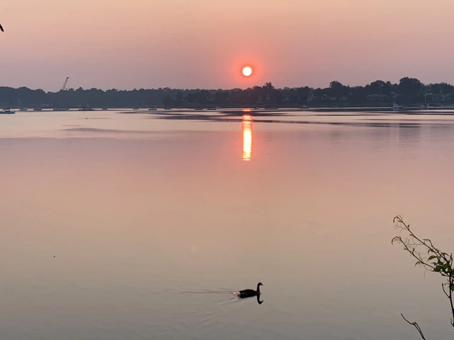 IMG_1965.jpg?type=w966