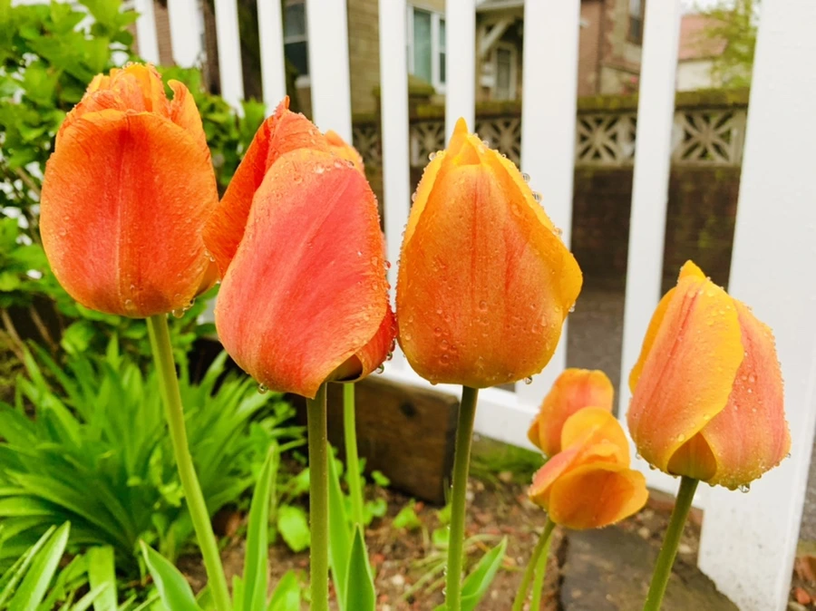 IMG_5230.jpg?type=w966