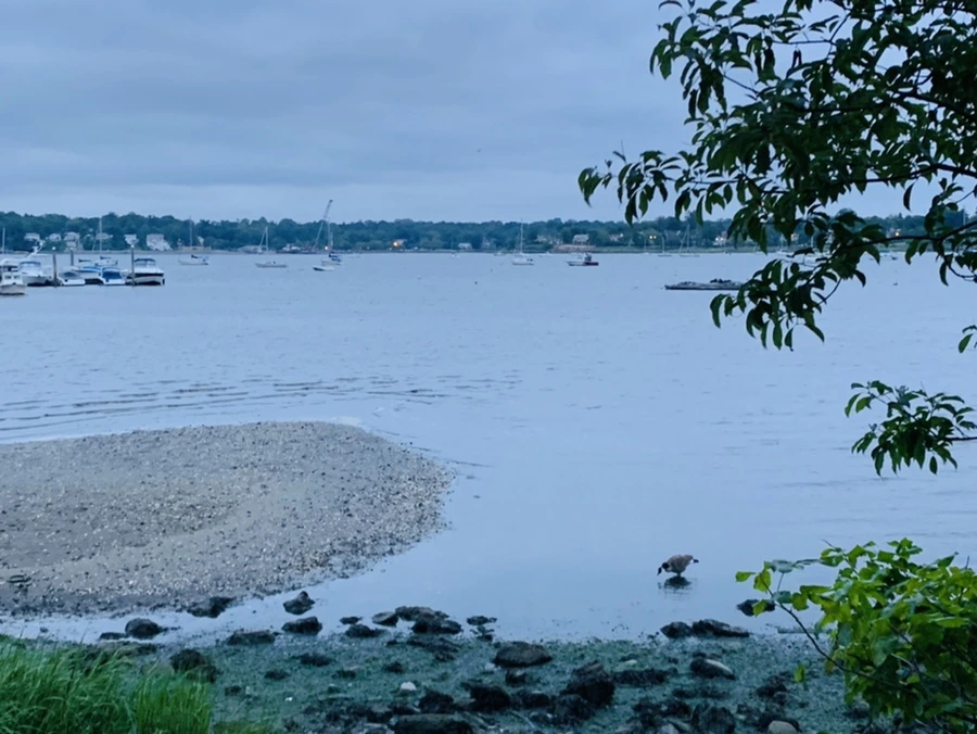 IMG_6762.jpg?type=w966