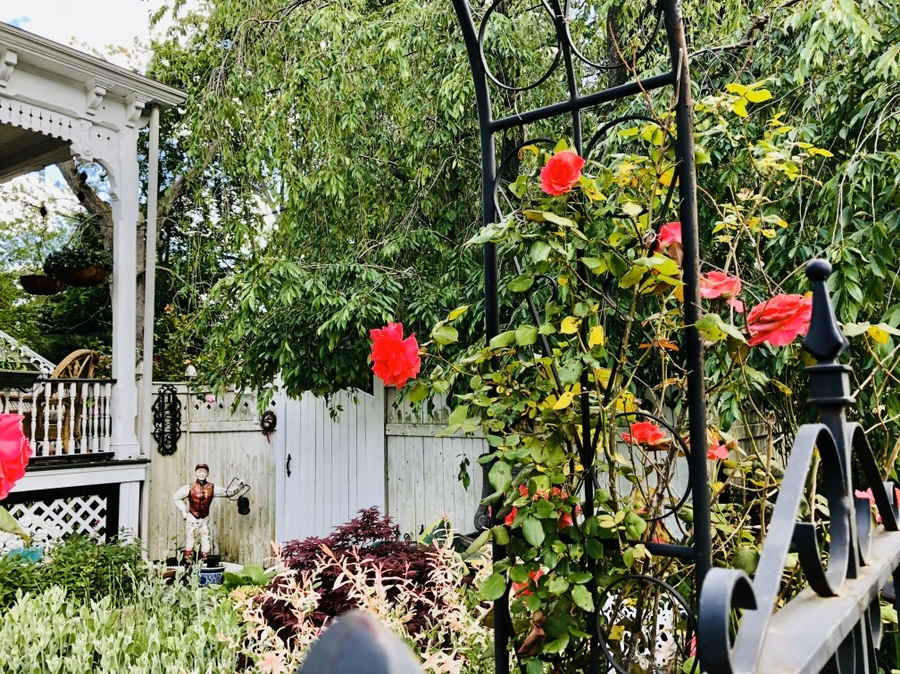 IMG_7662.jpg?type=w966