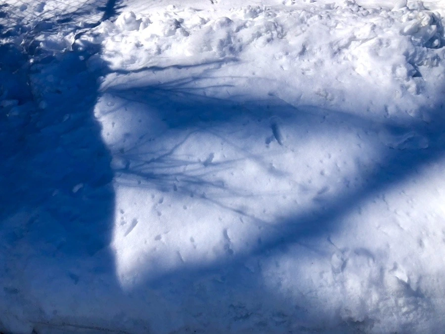 U53mCKgxlciRBN9i3_fdeVKuABI