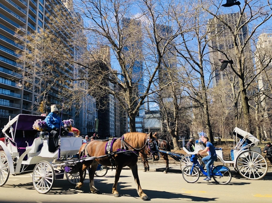 IMG_1173.jpg?type=w966