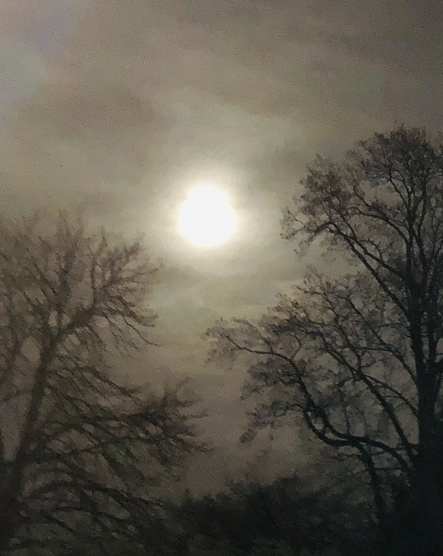 IMG_8575.jpg?type=w966