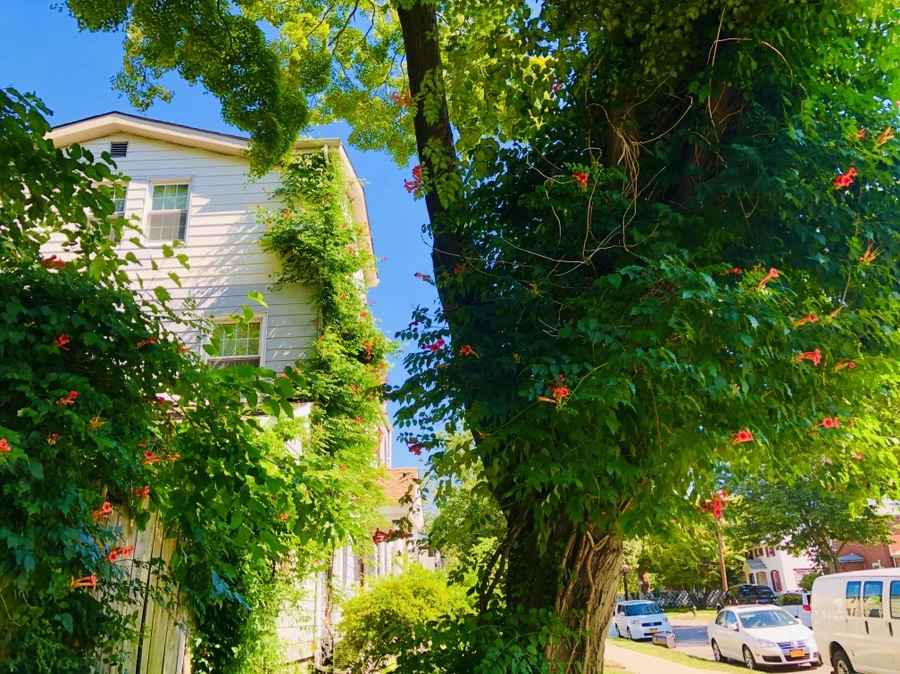 IMG_2838.jpg?type=w966