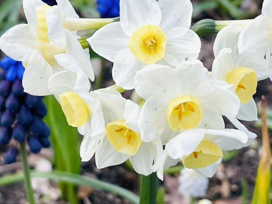 IMG_0394.jpg?type=w966