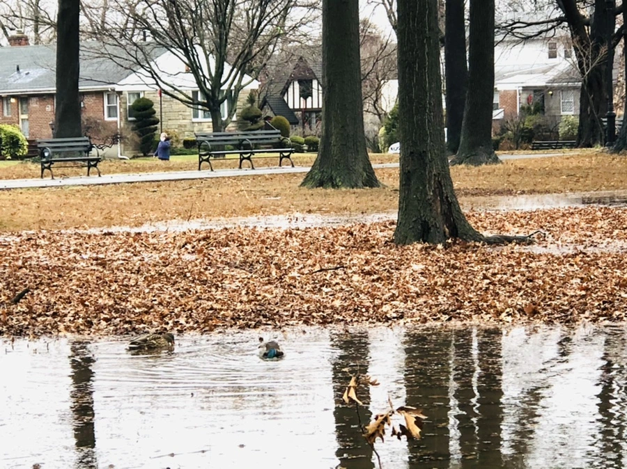 IMG_3373.jpg?type=w966