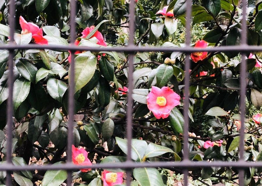 IMG_4414.jpg?type=w966