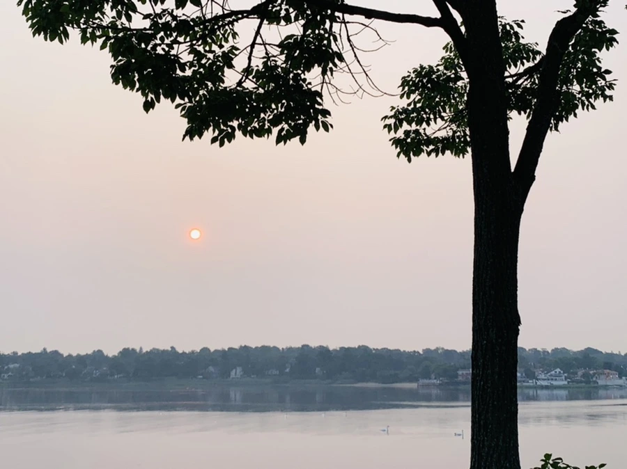 IMG_8366.jpg?type=w966