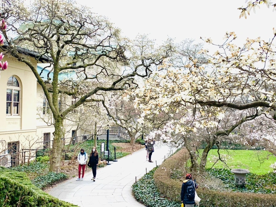 IMG_7126.jpg?type=w966