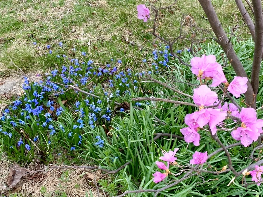 IMG_5945.jpg?type=w966