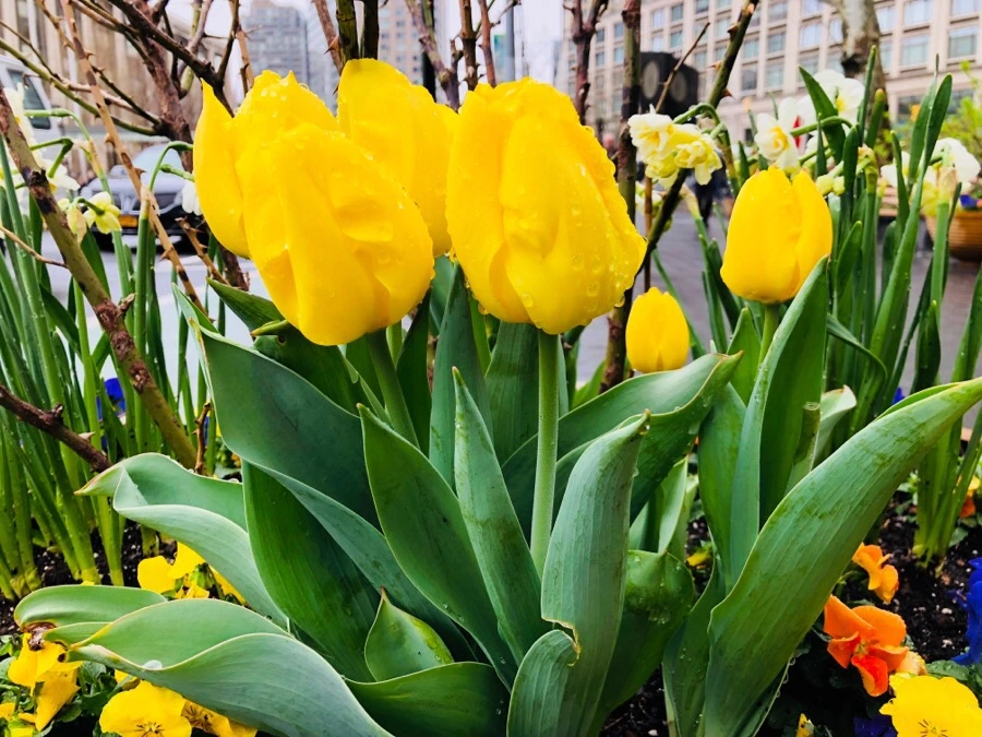 IMG_4648.jpg?type=w966