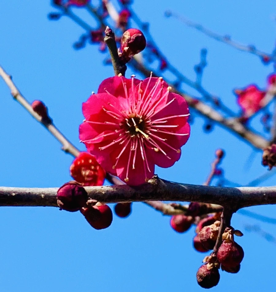 IMG_0664.jpg?type=w966