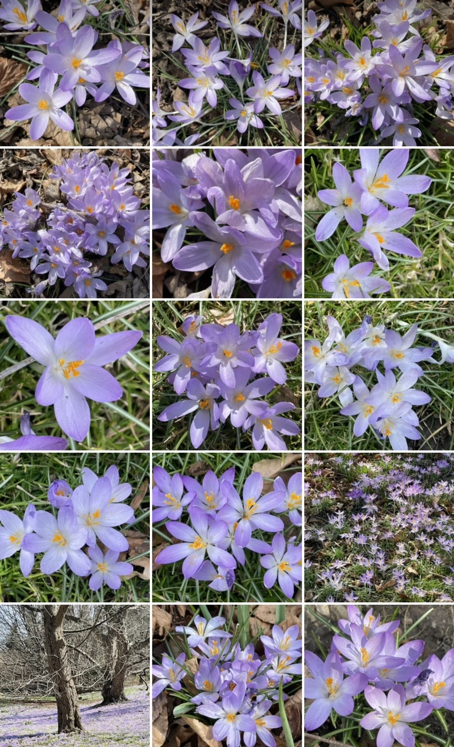 IMG_5419.jpg?type=w966