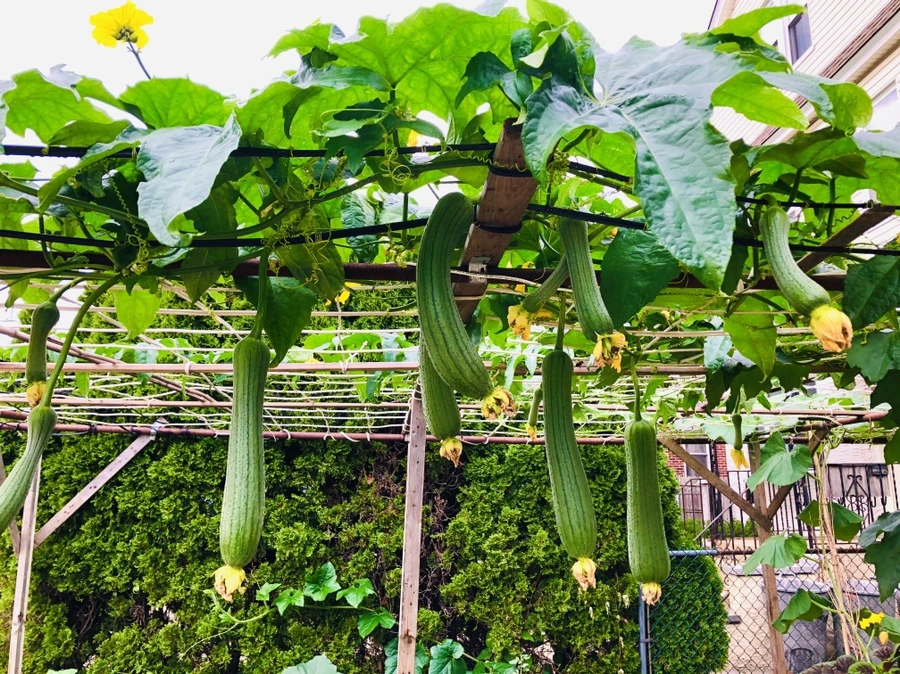 IMG_4162.jpg?type=w966