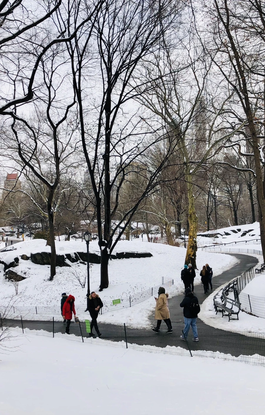 IMG_0372.jpg?type=w966