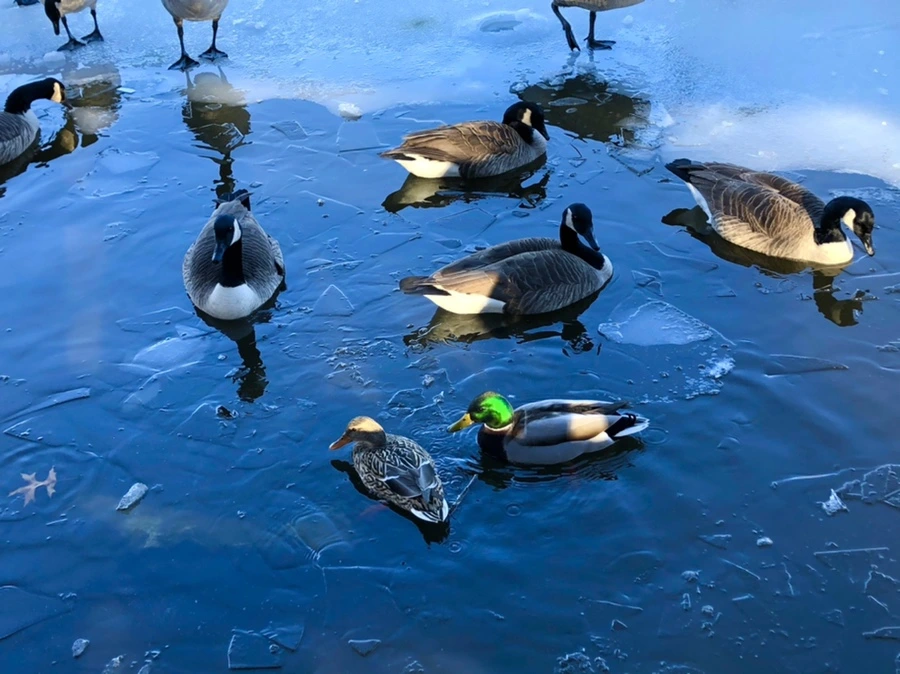 IMG_9913.jpg?type=w966