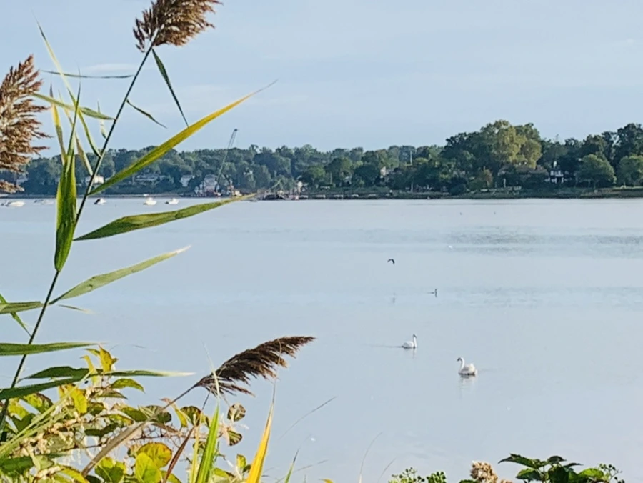 IMG_7820.jpg?type=w966