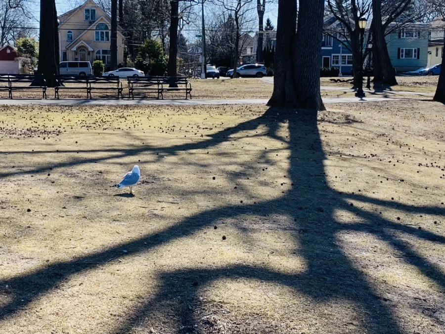 IMG_8899.jpg?type=w966