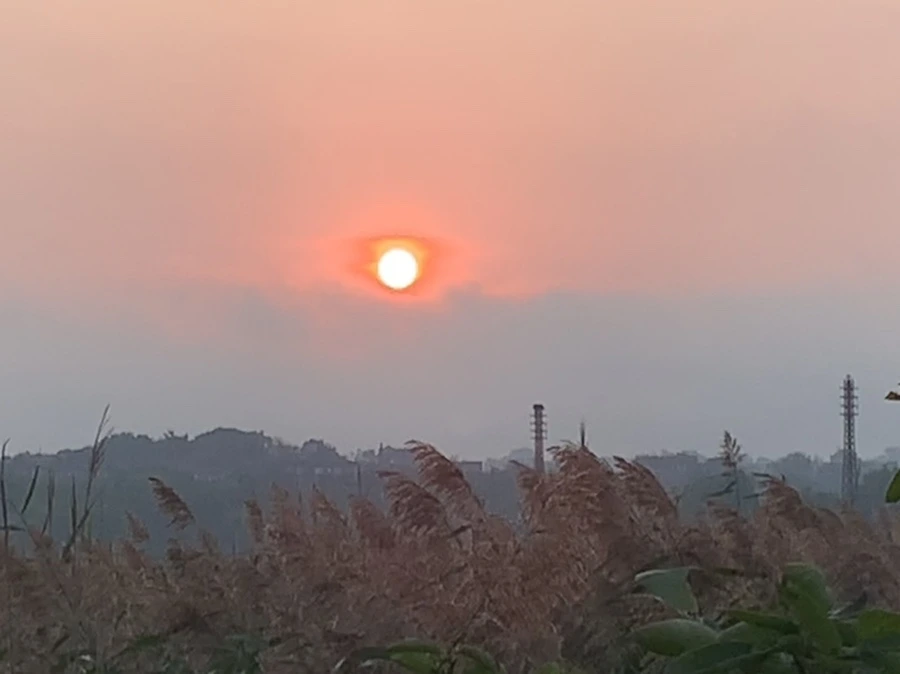 IMG_1130.jpg?type=w966