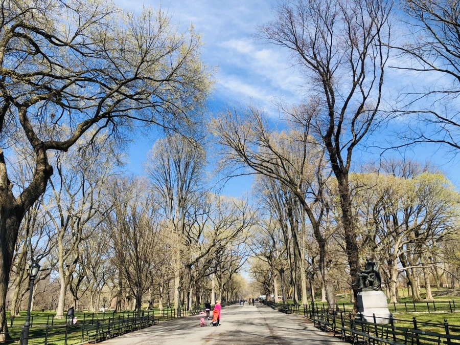 IMG_6624.jpg?type=w966