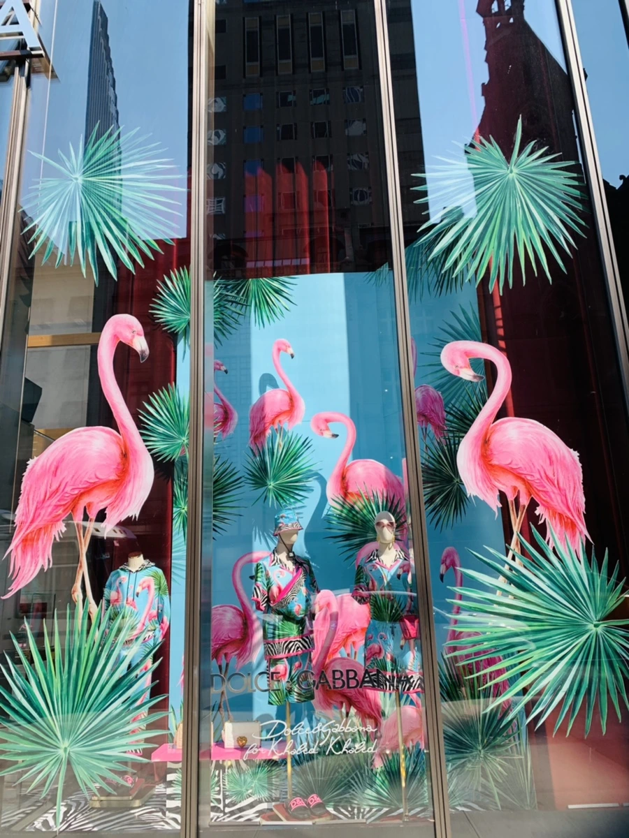 IMG_2164.jpg?type=w966