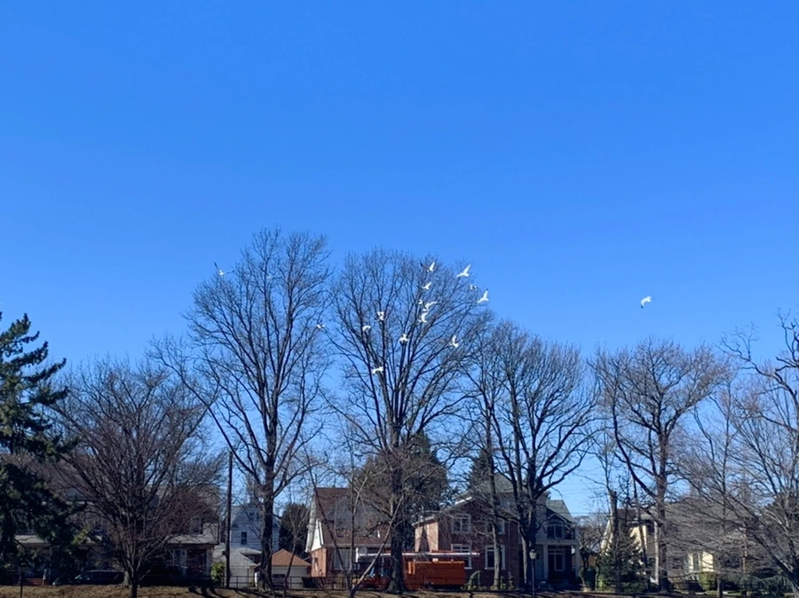 IMG_6818.jpg?type=w966